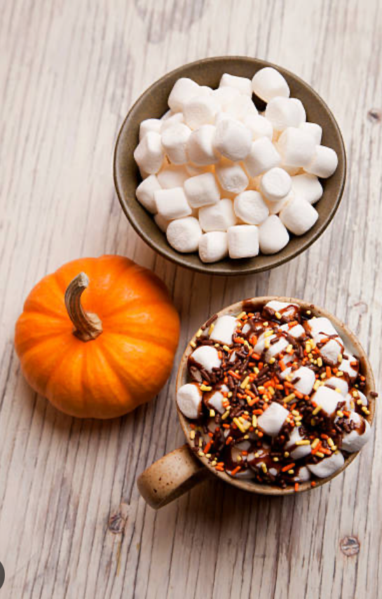 Marshmallow Vanilla + Pumpkin Fragrance