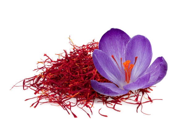 Saffron and Tobacco Fragrance