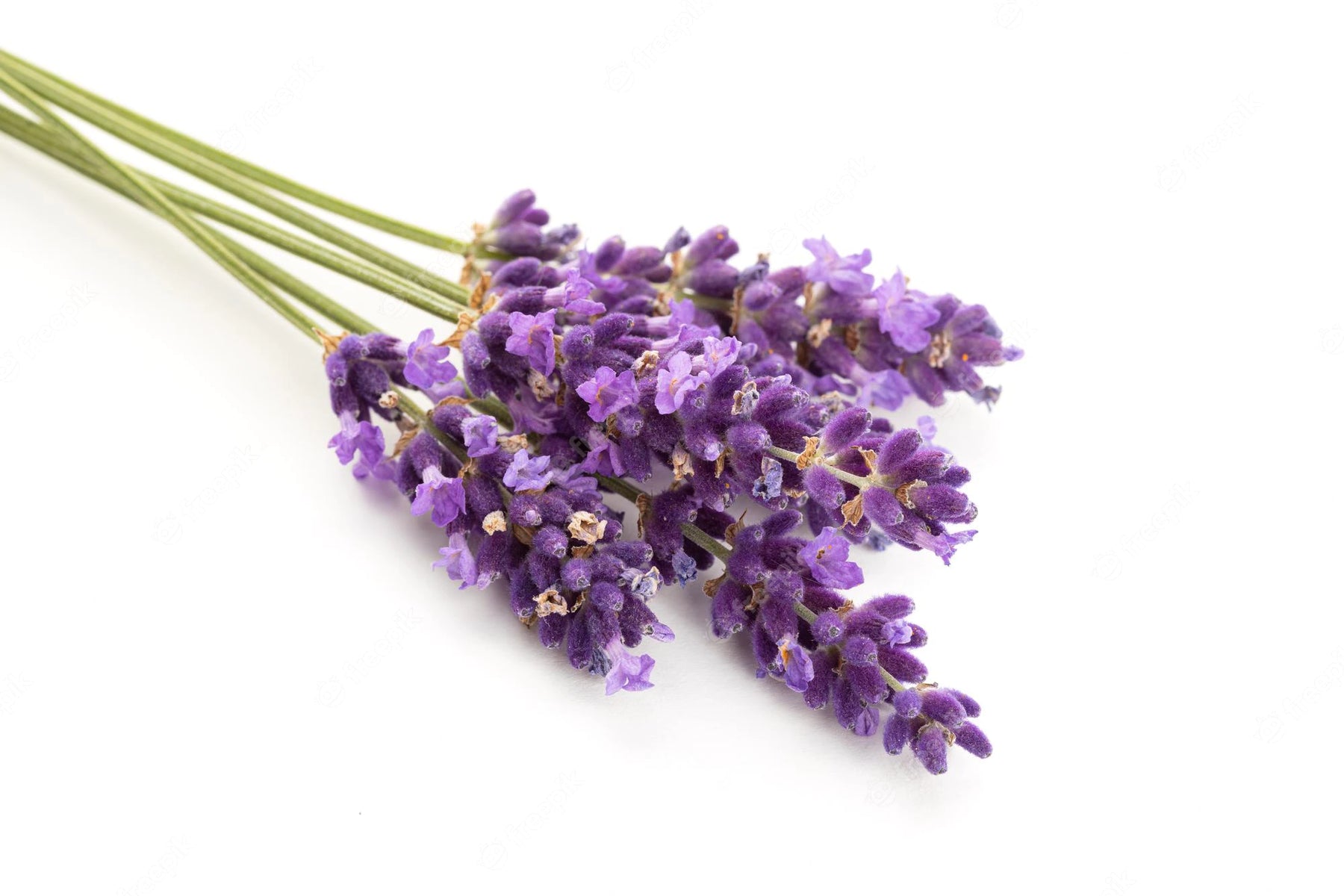 Lavender hydrosol